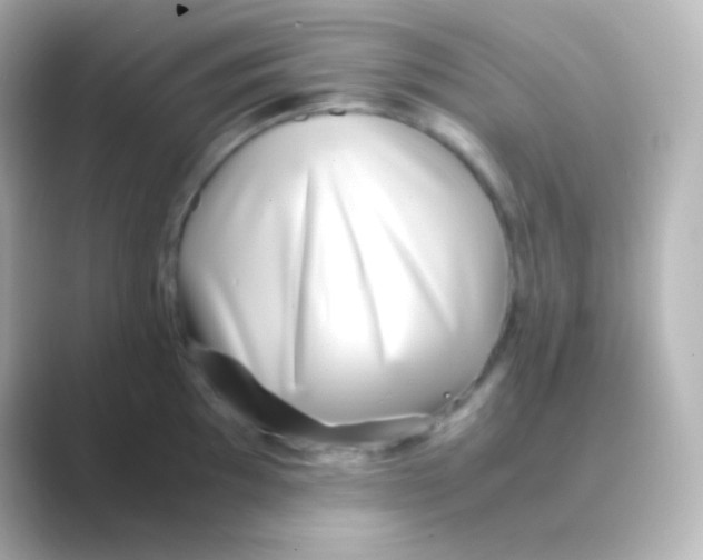 X0000088721097200706212016