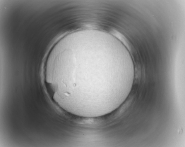 X0000088721098200706212016