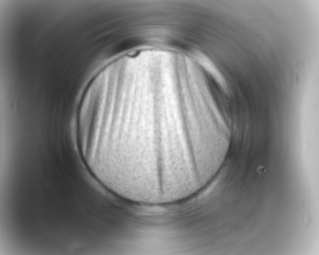 X0000088721100200706212016