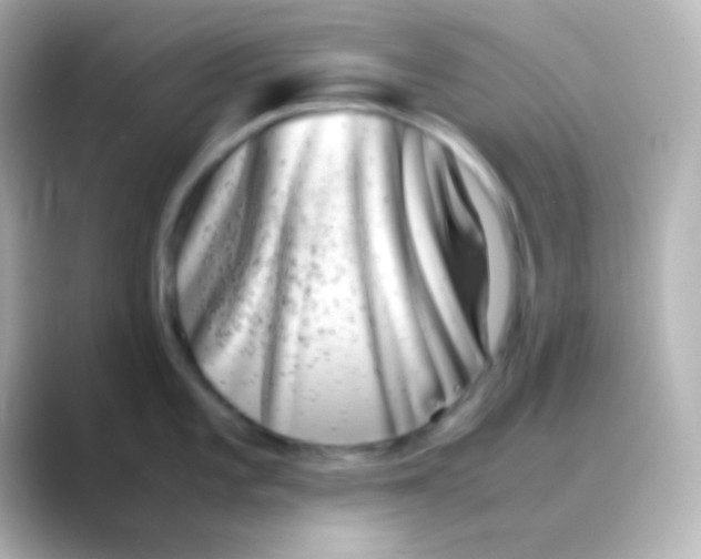 X0000088721101200706212016