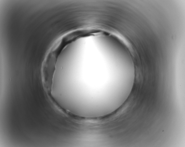 X0000088721102200706212016