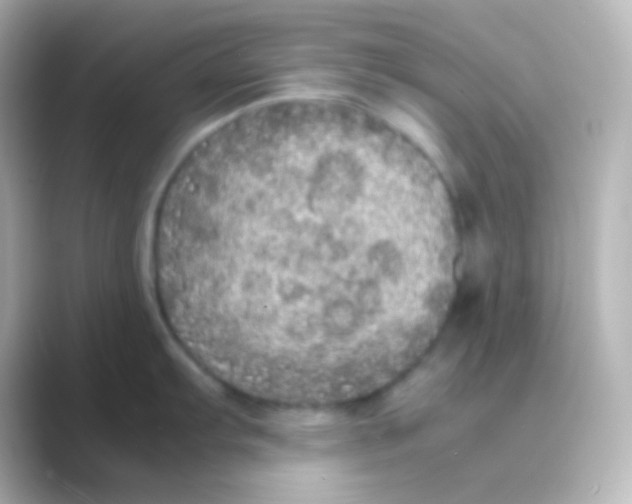 X0000088721103200706212016