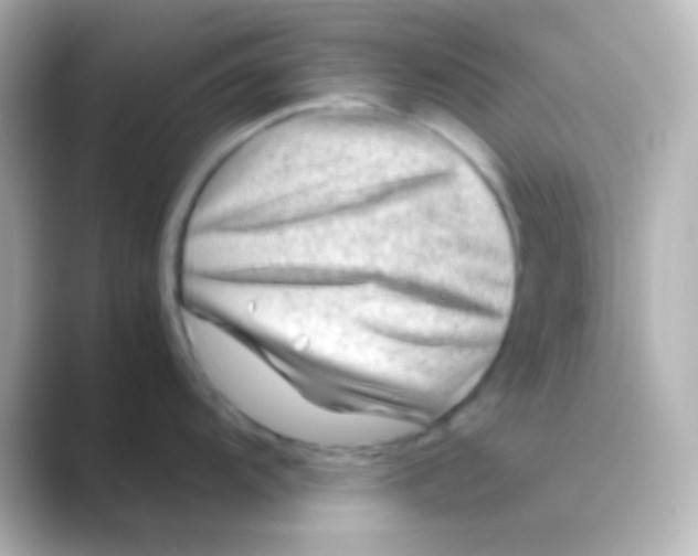 X0000088721104200706212016