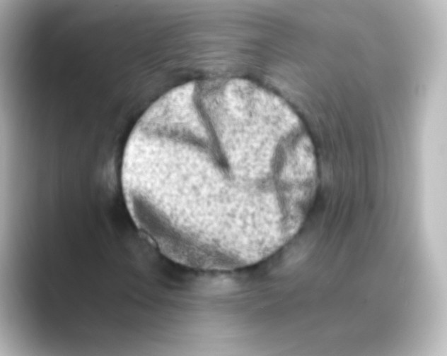 X0000088721106200706212015