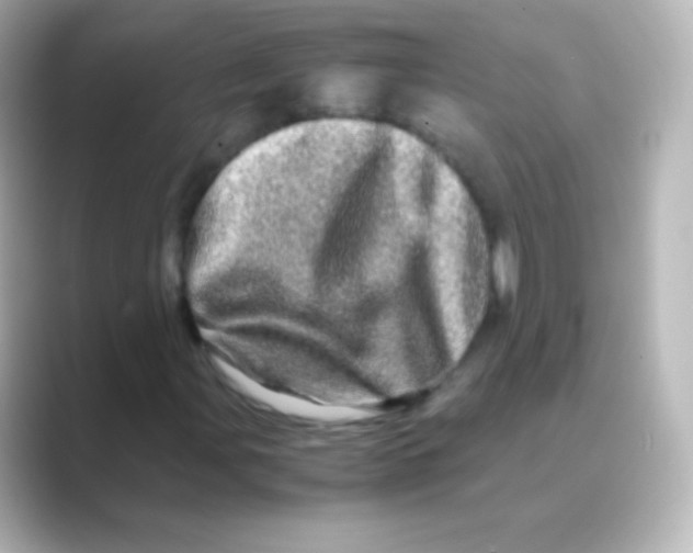 X0000088721107200706212015