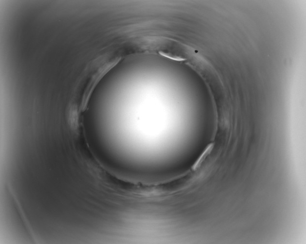 X0000088721108200706212015