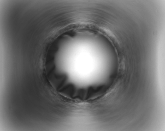 X0000088721110200706212015