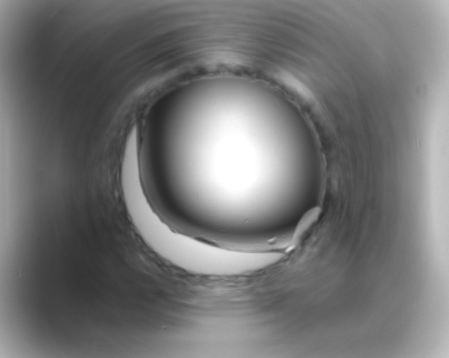 X0000088721112200706212016