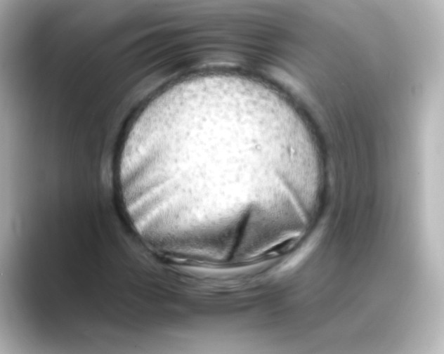 X0000088721113200706212016