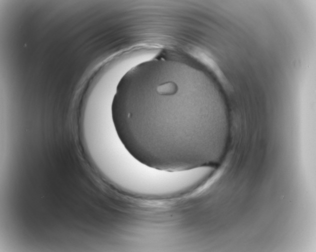 X0000088721114200706212016