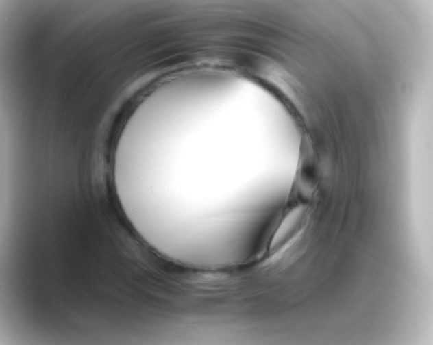 X0000088721115200706212016