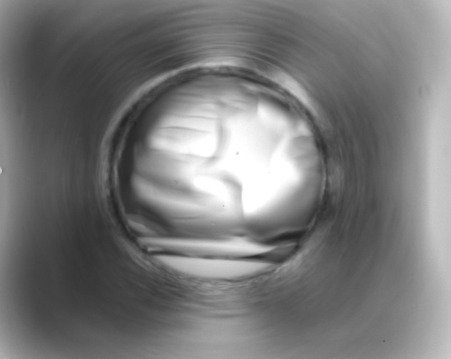 X0000088721116200706212016