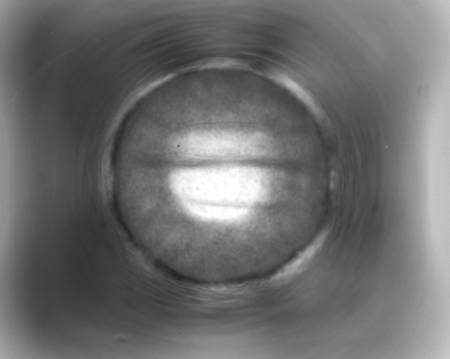 X0000088721117200706212016