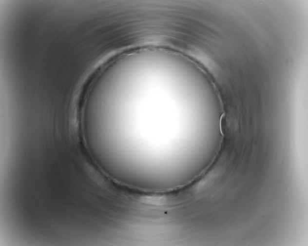 X0000088721118200706212016