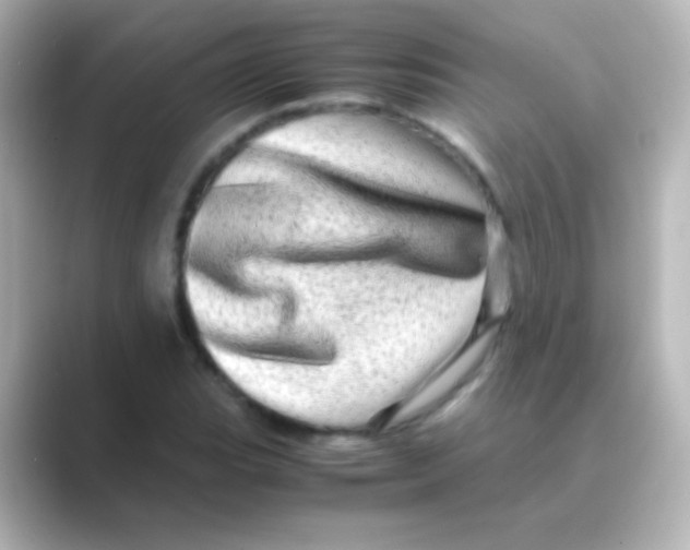 X0000088721119200706212016