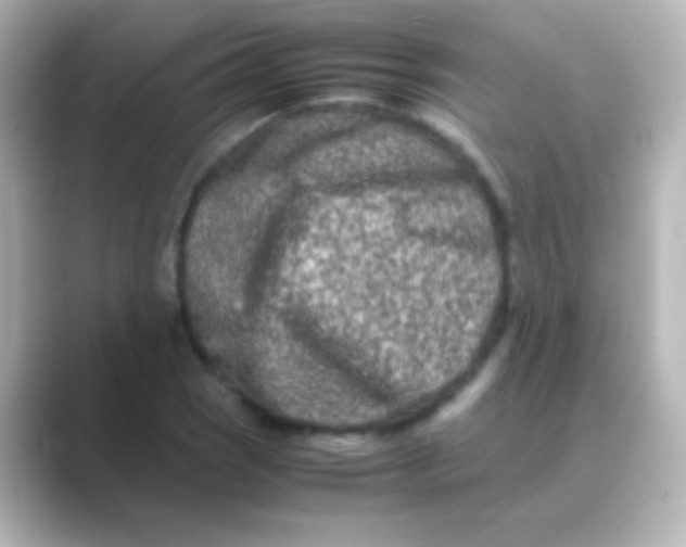 X0000088721121200706212016