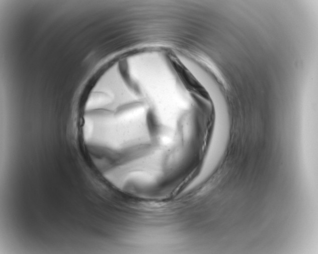 X0000088721124200706212016