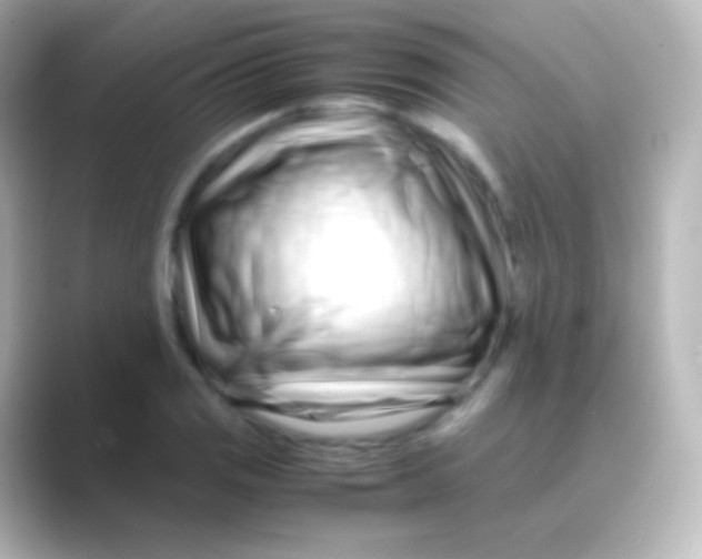 X0000088721125200706212016