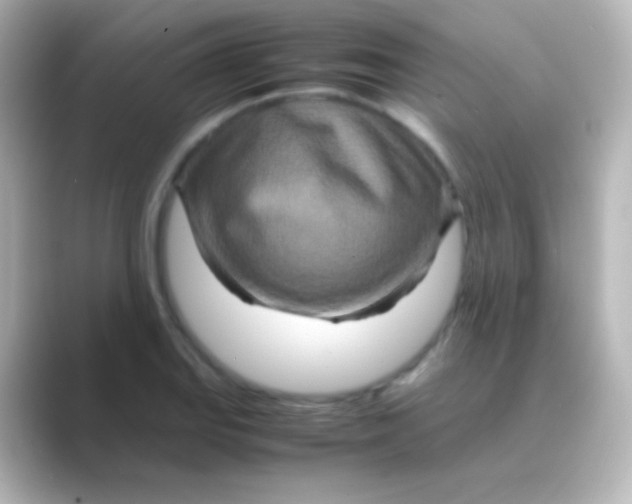 X0000088721127200706212016