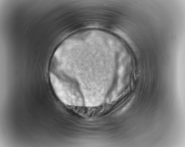 X0000088721129200706212016