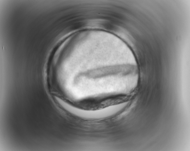 X0000088721133200706212016