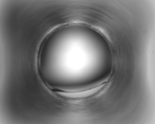 X0000088721134200706212016