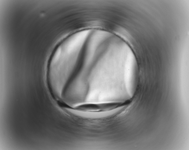 X0000088721135200706212016