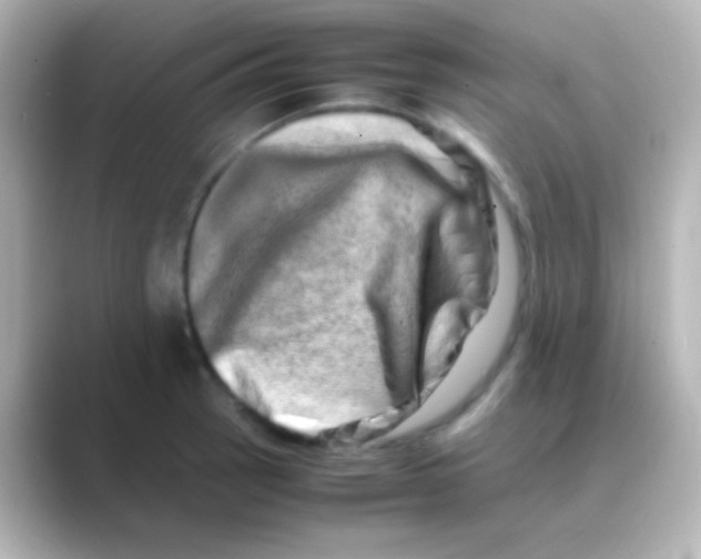 X0000088721137200706212016