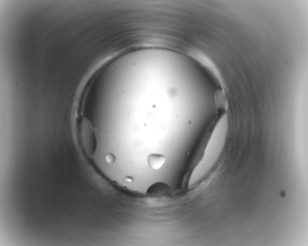 X0000088721138200706212016