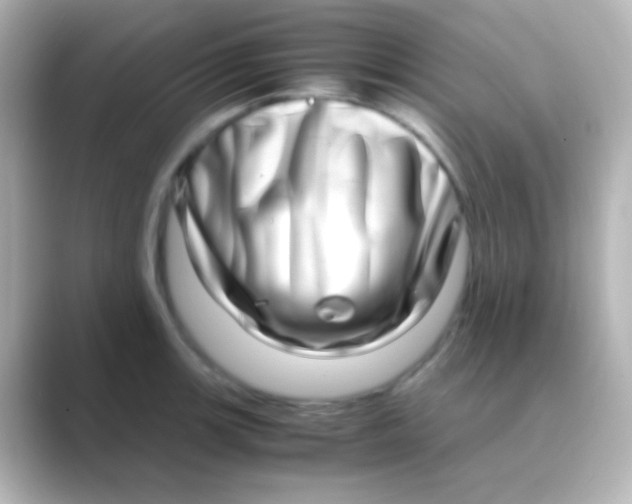 X0000088721139200706212016