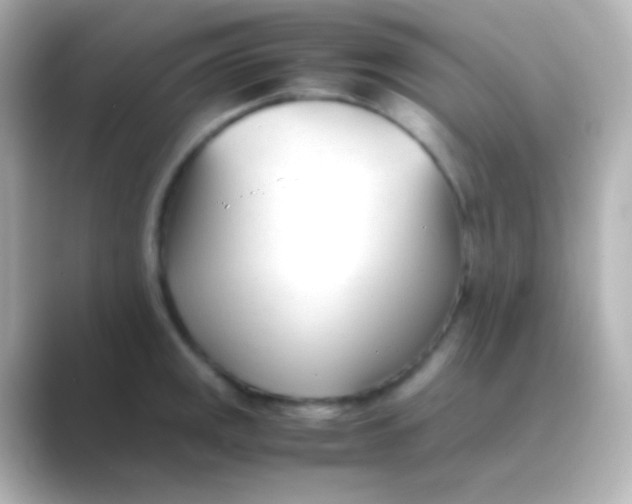 X0000088721141200706212016