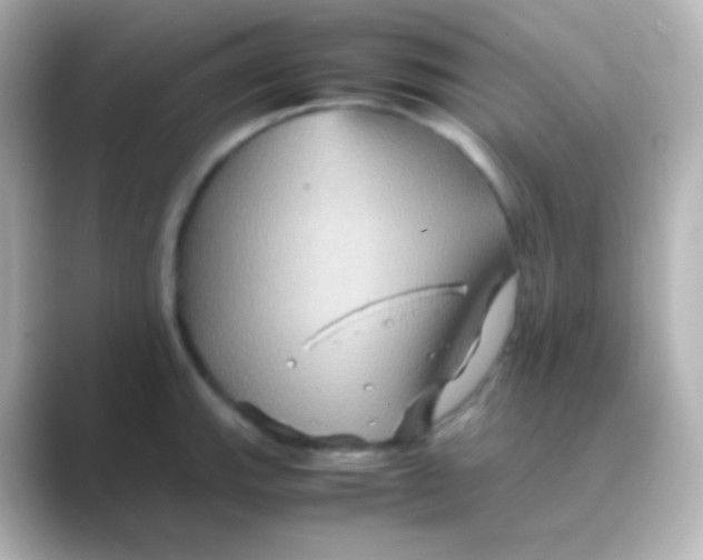 X0000088721143200706212016