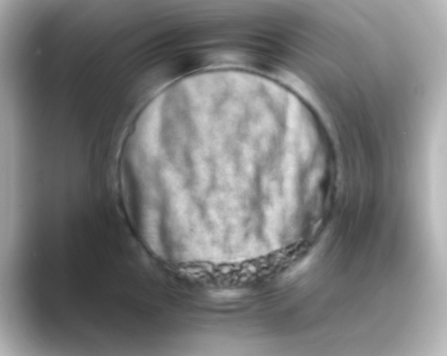 X0000088721145200706212016