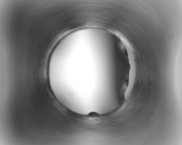 X0000088721148200706212016