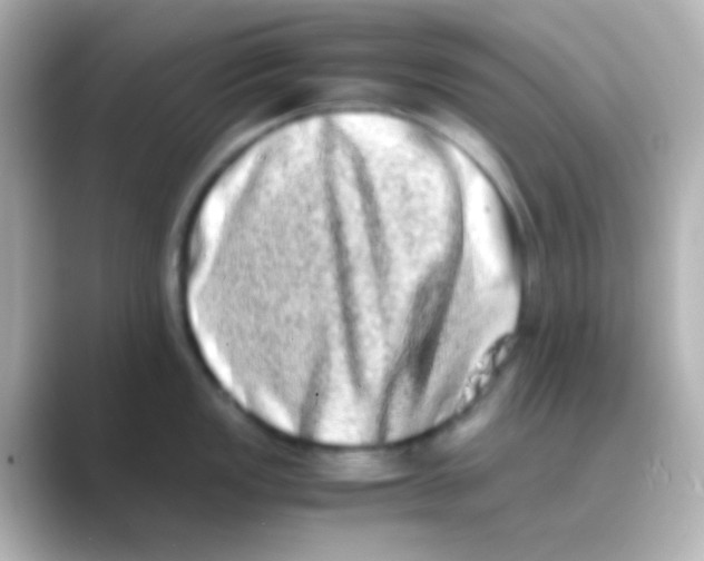 X0000088721149200706212016