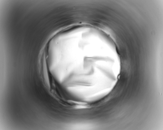 X0000088721151200706212016