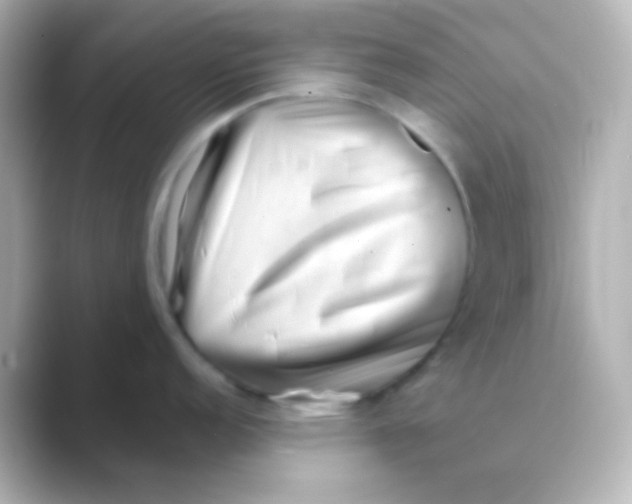 X0000088721152200706212016