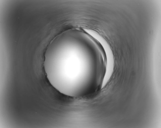 X0000088721153200706212015