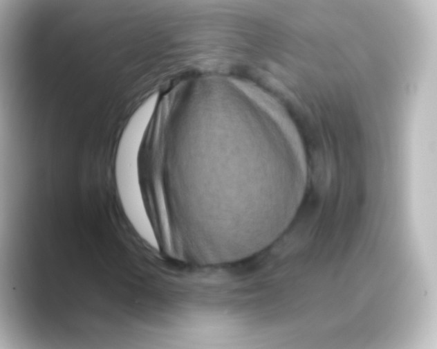 X0000088721154200706212015