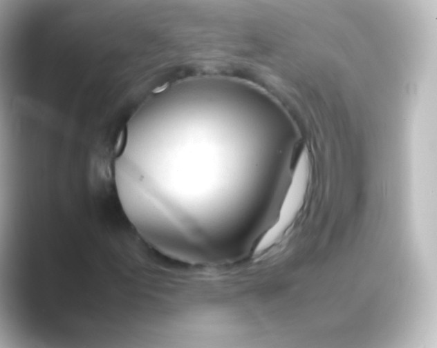 X0000088721155200706212015