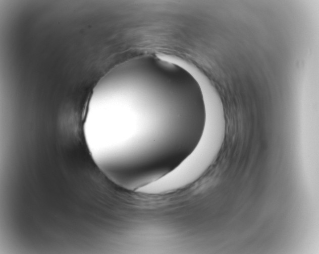 X0000088721156200706212015