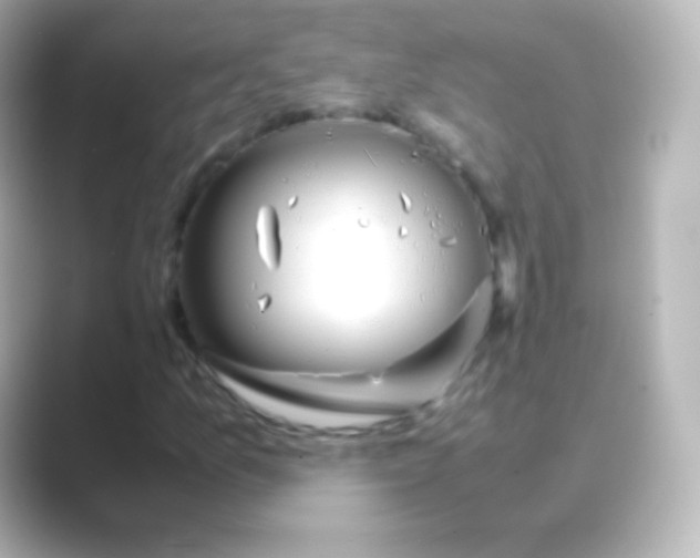 X0000088721157200706212015