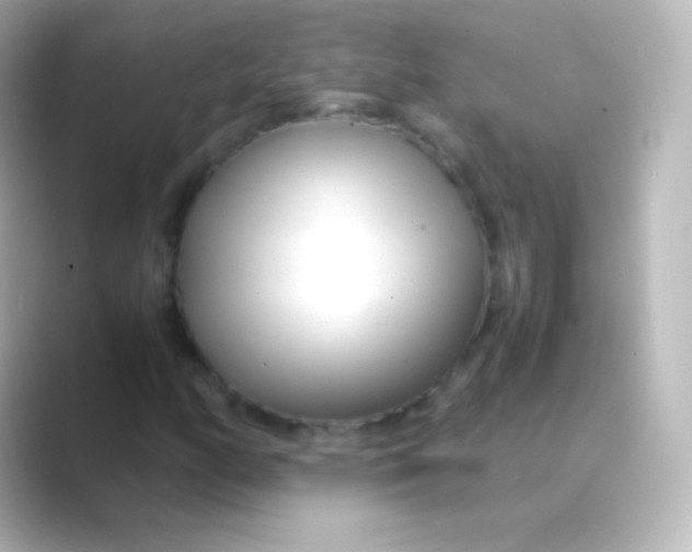 X0000088721158200706212015