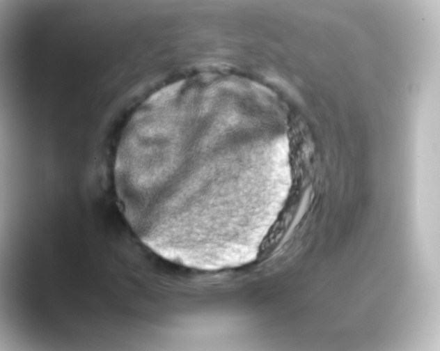 X0000088721159200706212015