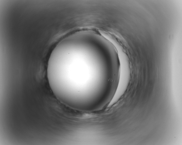 X0000088721160200706212015