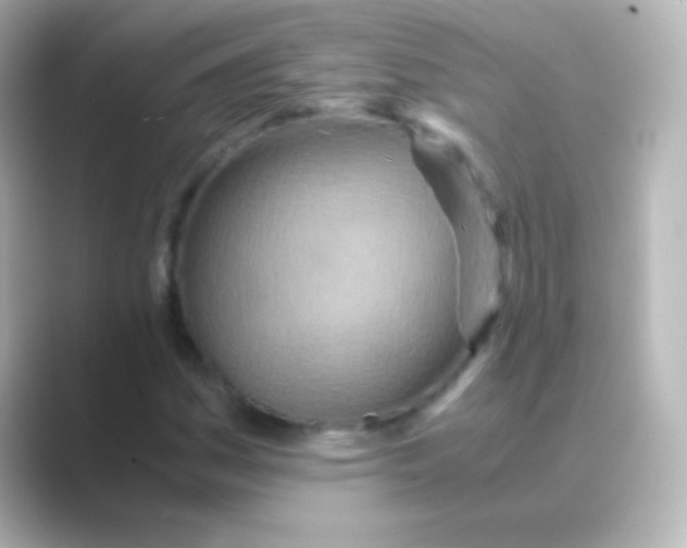 X0000088721161200706212015