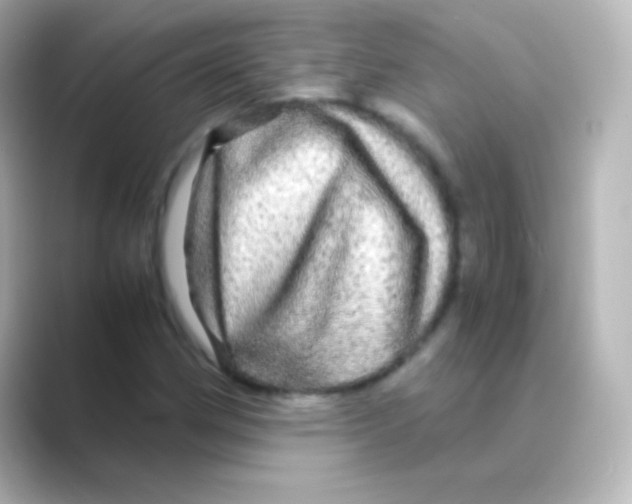 X0000088721162200706212015