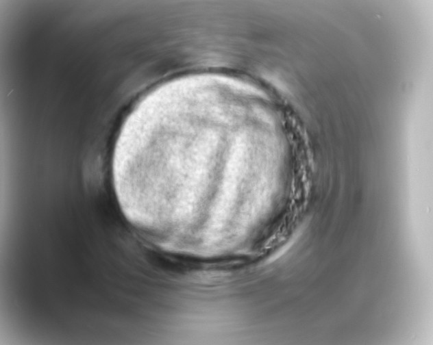 X0000088721163200706212015