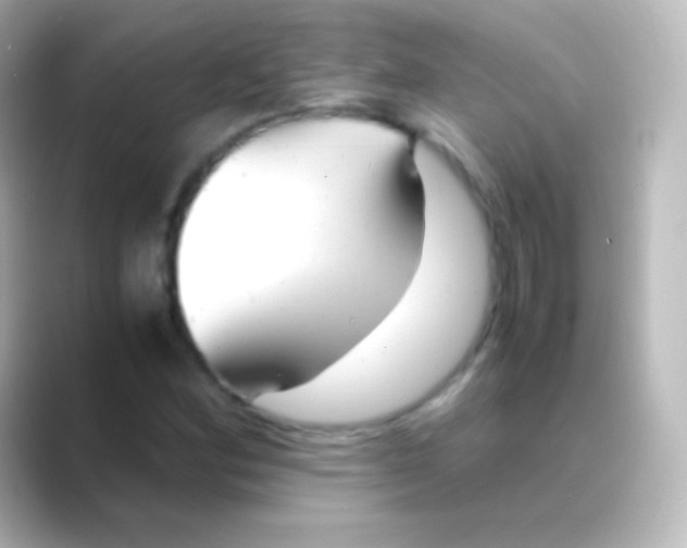 X0000088721164200706212015