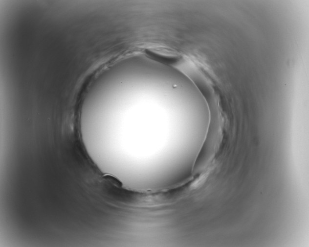 X0000088721165200706212015